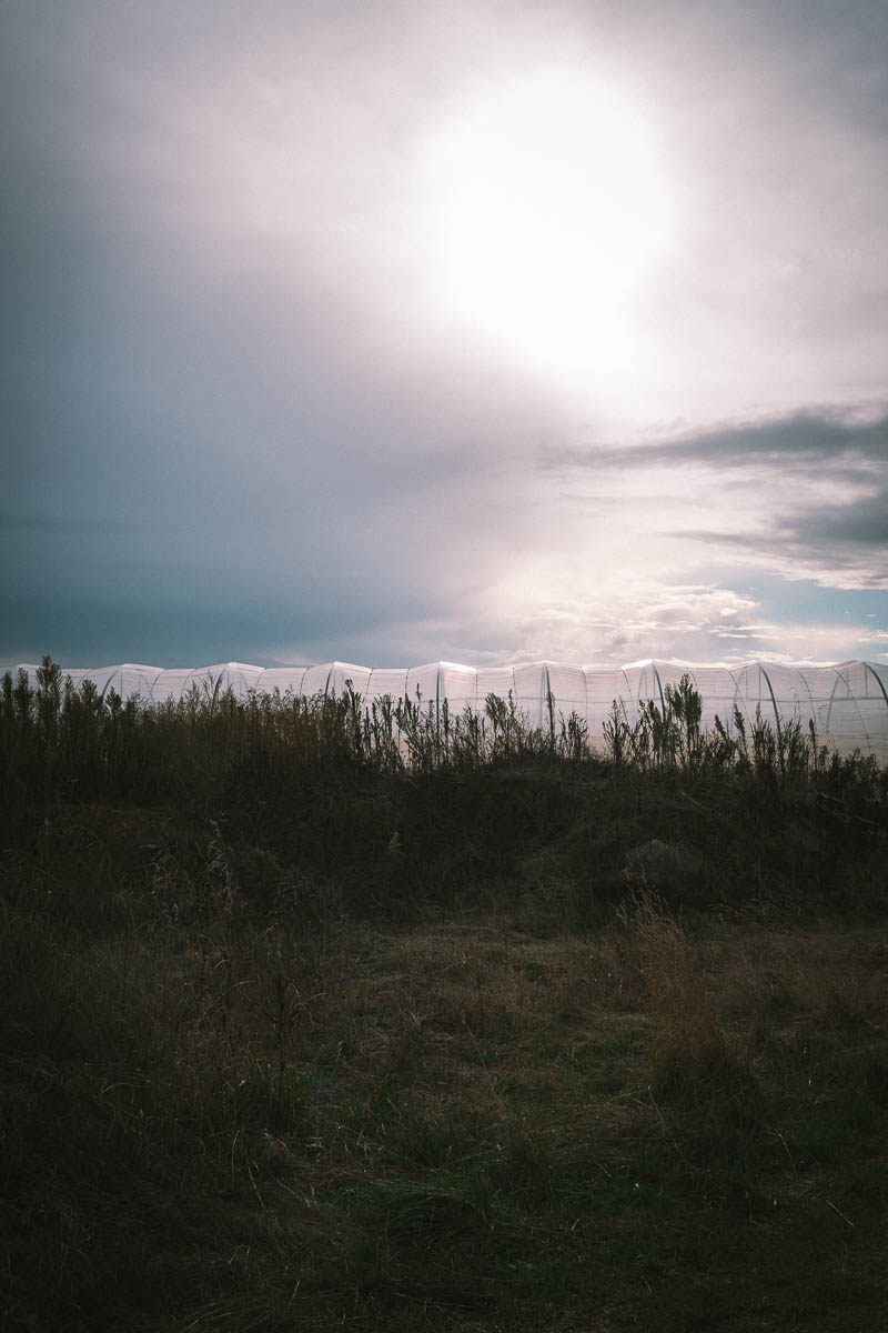 troisiemeresidenceepi©BenjaminRullier67