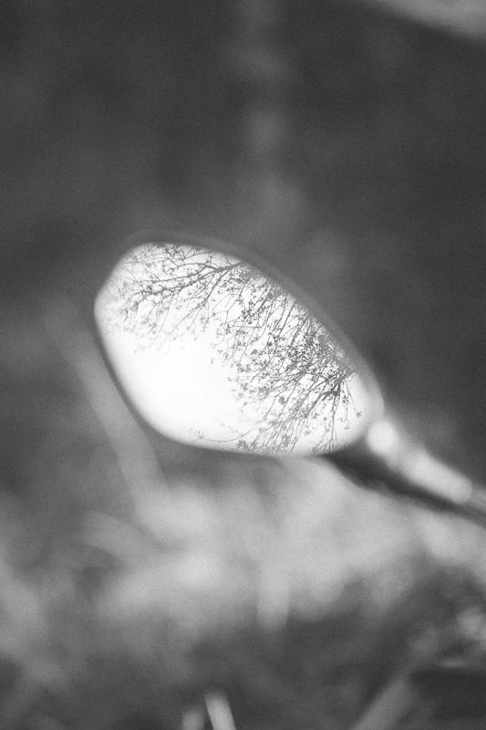 DSCF0311