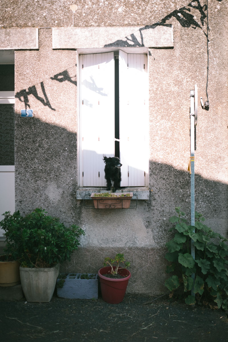 Sans titre-0865