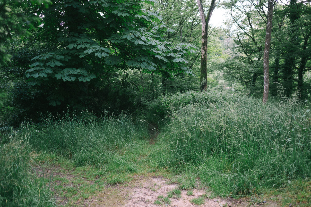 DSCF5630