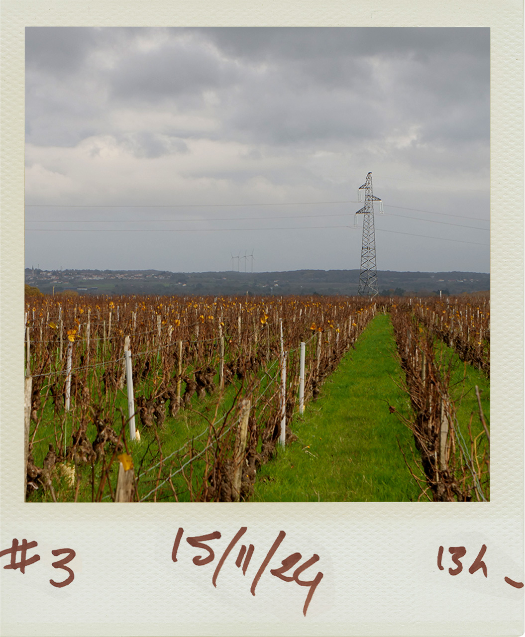 Montage_Photo3